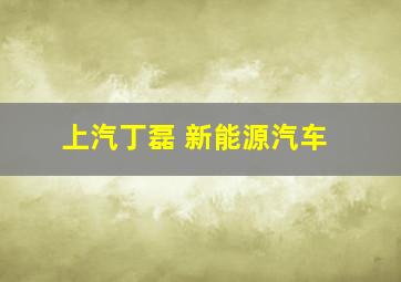 上汽丁磊 新能源汽车